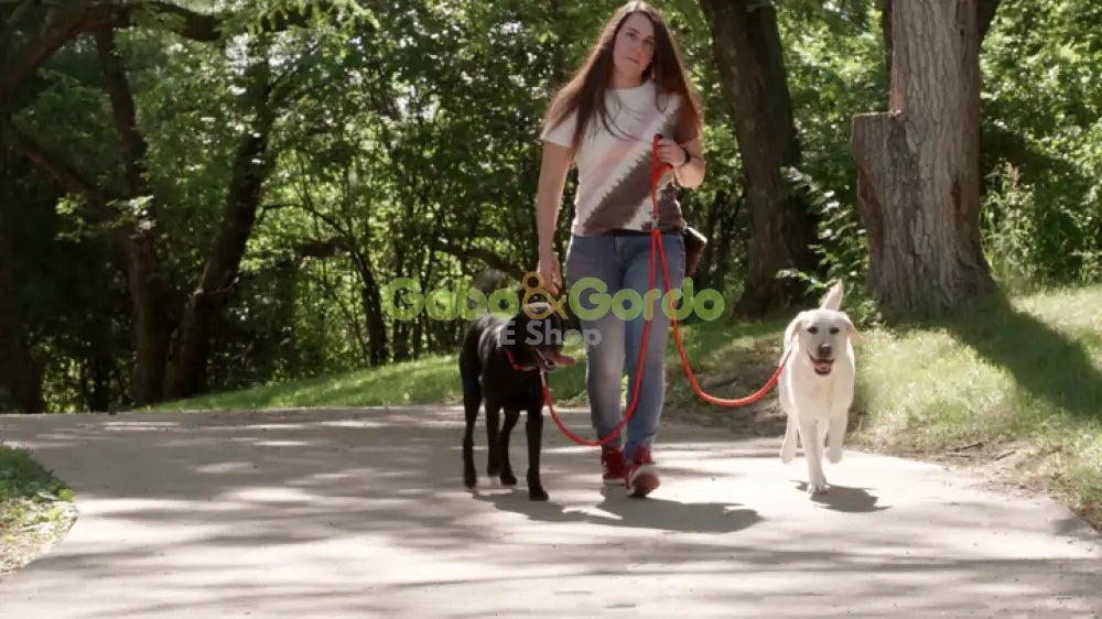 Correa Doble Caldwell Peteast Dog Leash de 137 cm para perros hasta 45 kg, con asas acolchadas y sistema antienredos