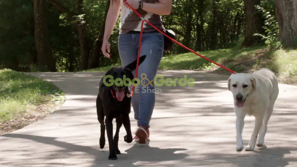 Correa Doble Caldwell Peteast Dog Leash de 137 cm para perros hasta 45 kg, con asas acolchadas y sistema antienredos