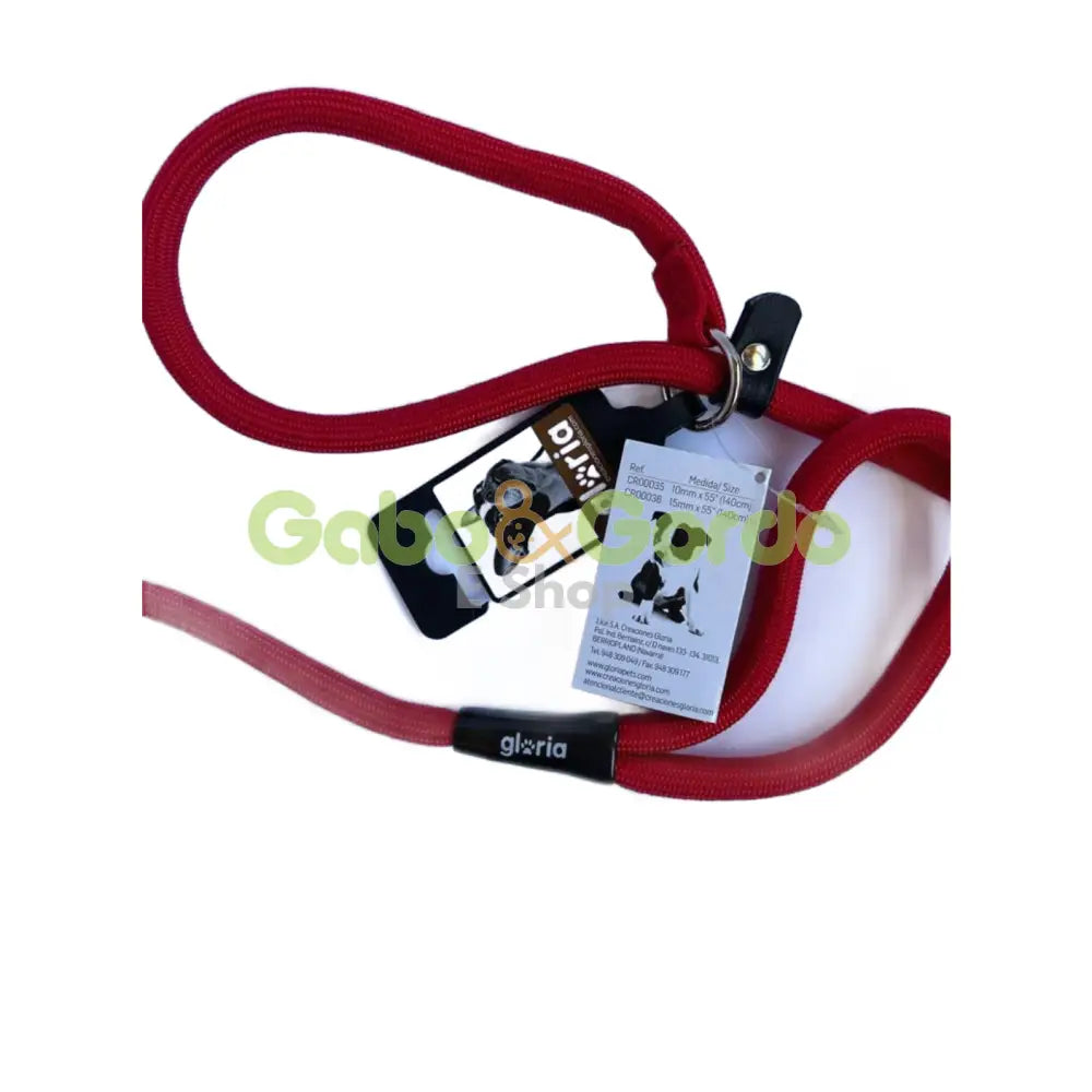 Correa Gloria para perros con collar de adiestramiento, color azul o verde