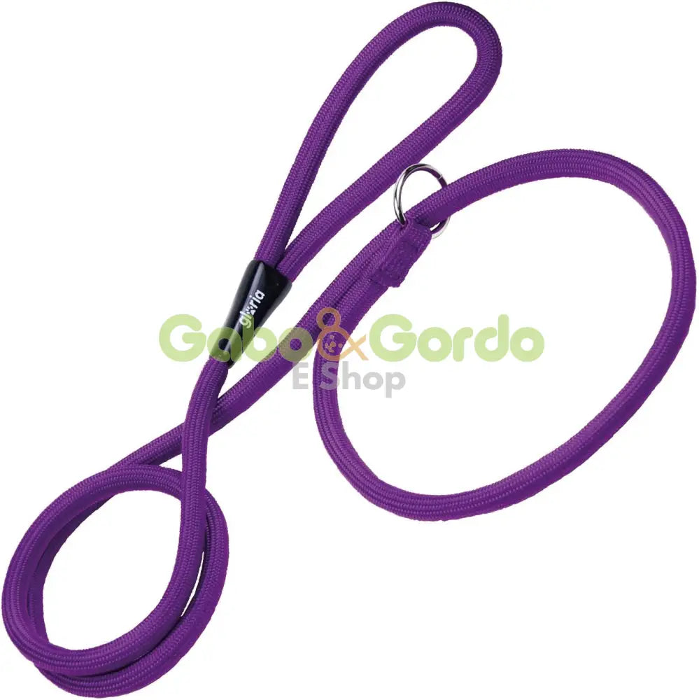 Correa Gloria para perros con collar de adiestramiento, color azul o verde