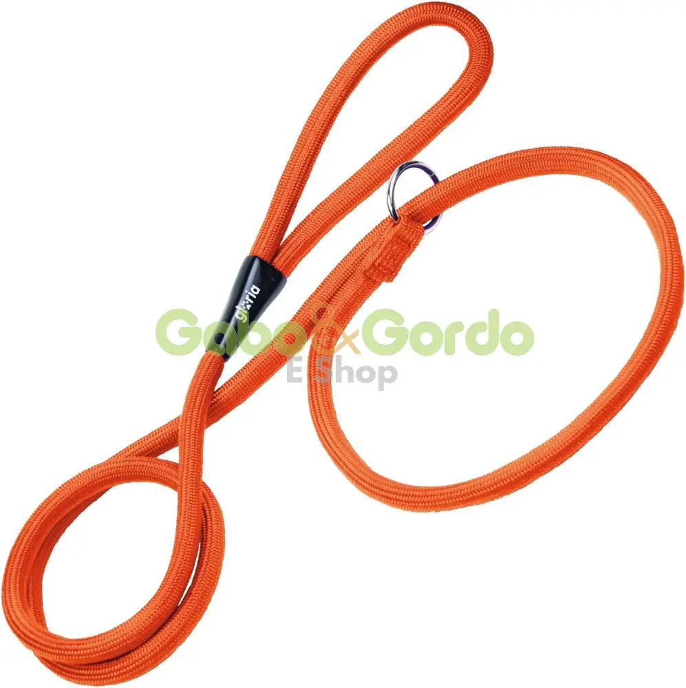 Correa Gloria para perros con collar de adiestramiento, color azul o verde