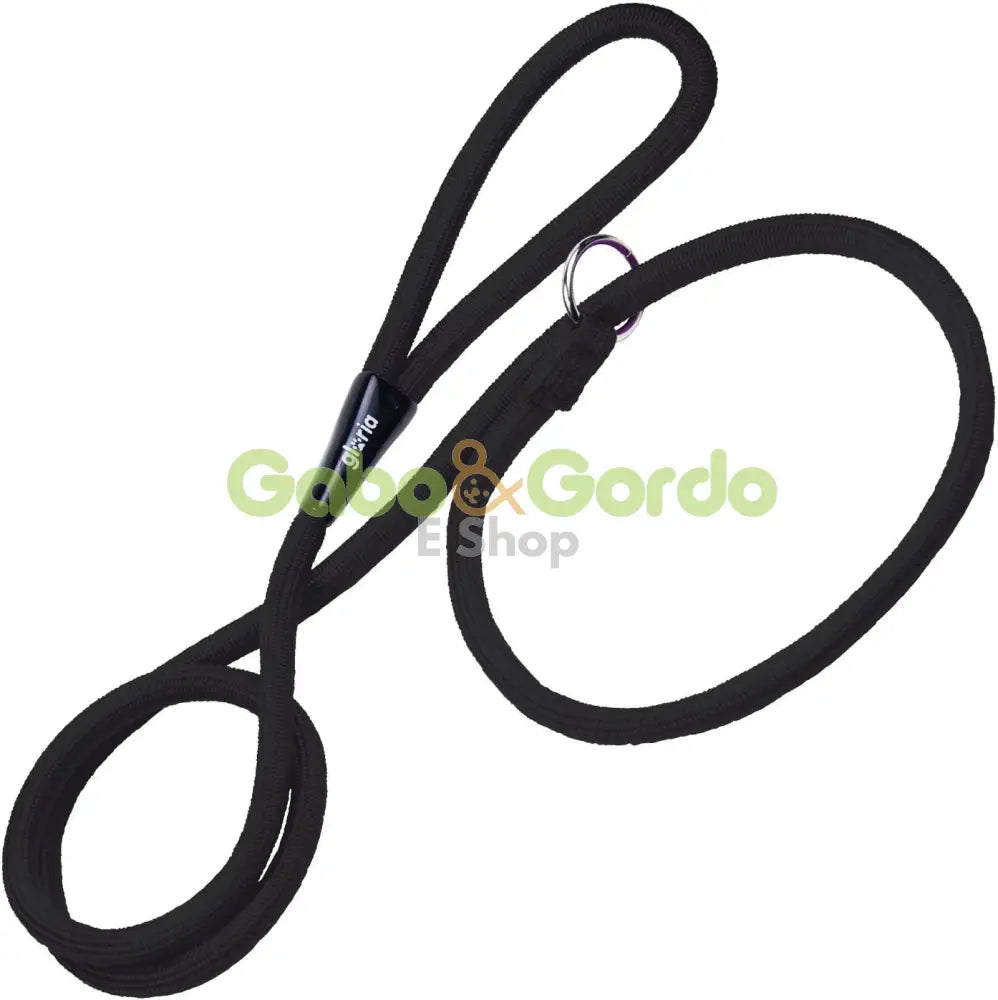 Correa Gloria para perros con collar de adiestramiento, color azul o verde