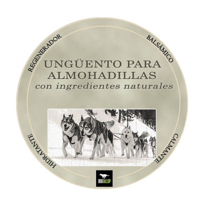 Pomada regeneradora DOGGALLOP para almohadillas de perros y gatos