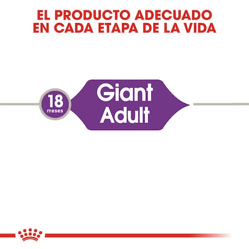 ROYAL CANIN Giant Adult/ Gigante Para Perros Adultos en Las Palmas De Gran Canaria