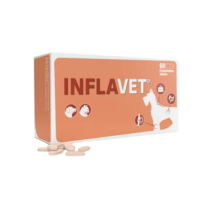 Inflavet suplemento natural para perros y gatos con Boswellia y Scutellaria disponible en Canarias