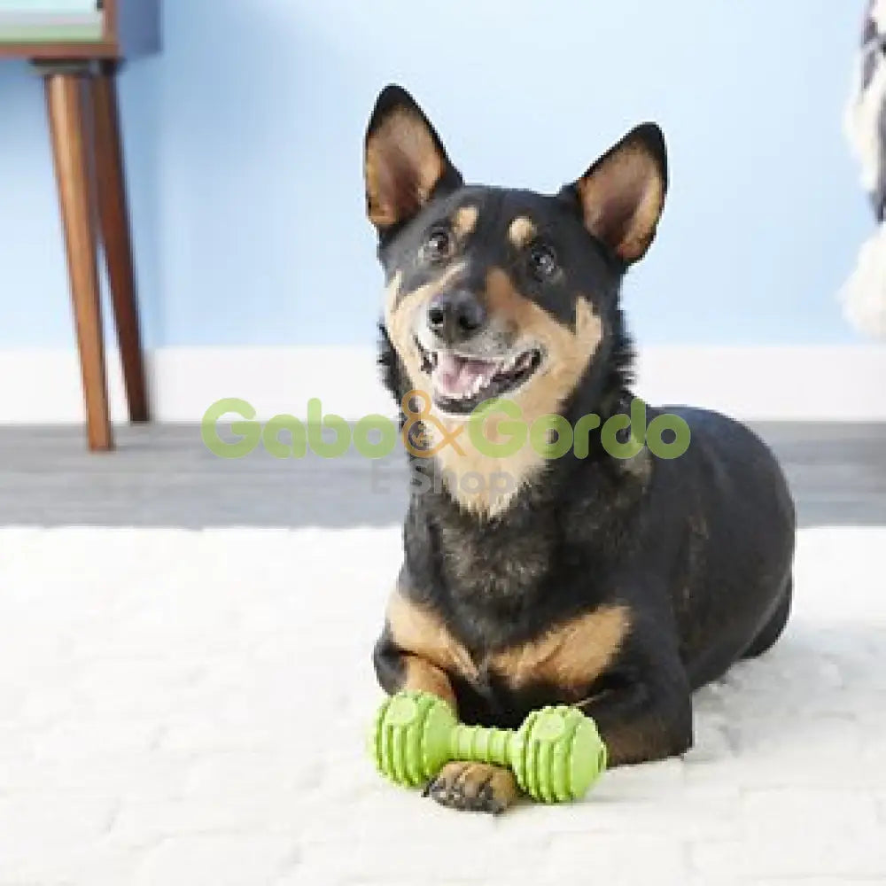 Juguete JW Hueso Chompion GRANDE (COLOR ROJO) Gabo y Gordo E Shop, la mejor tienda online en las Islas Canarias, España, tienda online para mascotas, perros, gatos, conejos, tortugas, animales, accesorios para mascotas en general.
Gabo y Gordo E Shop in Canary Islands, the best store for pets, dogs, cats, rabbits, turtles, animals, pet accessories.