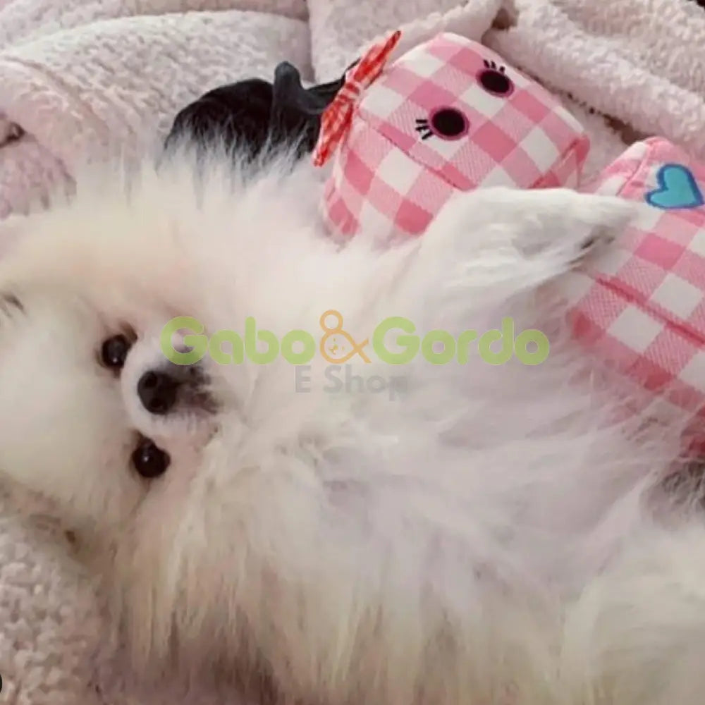 JUGUETE ROSIE THE ROBOT (13") / SnugArooz Rosie the Robot Dog Toy Gabo&Gordo Pet Shop en Las Palmas de Gran Canaria tienda para mascotas, perros, gatos, conejos, tortugas, animales, accesorios para mascotas