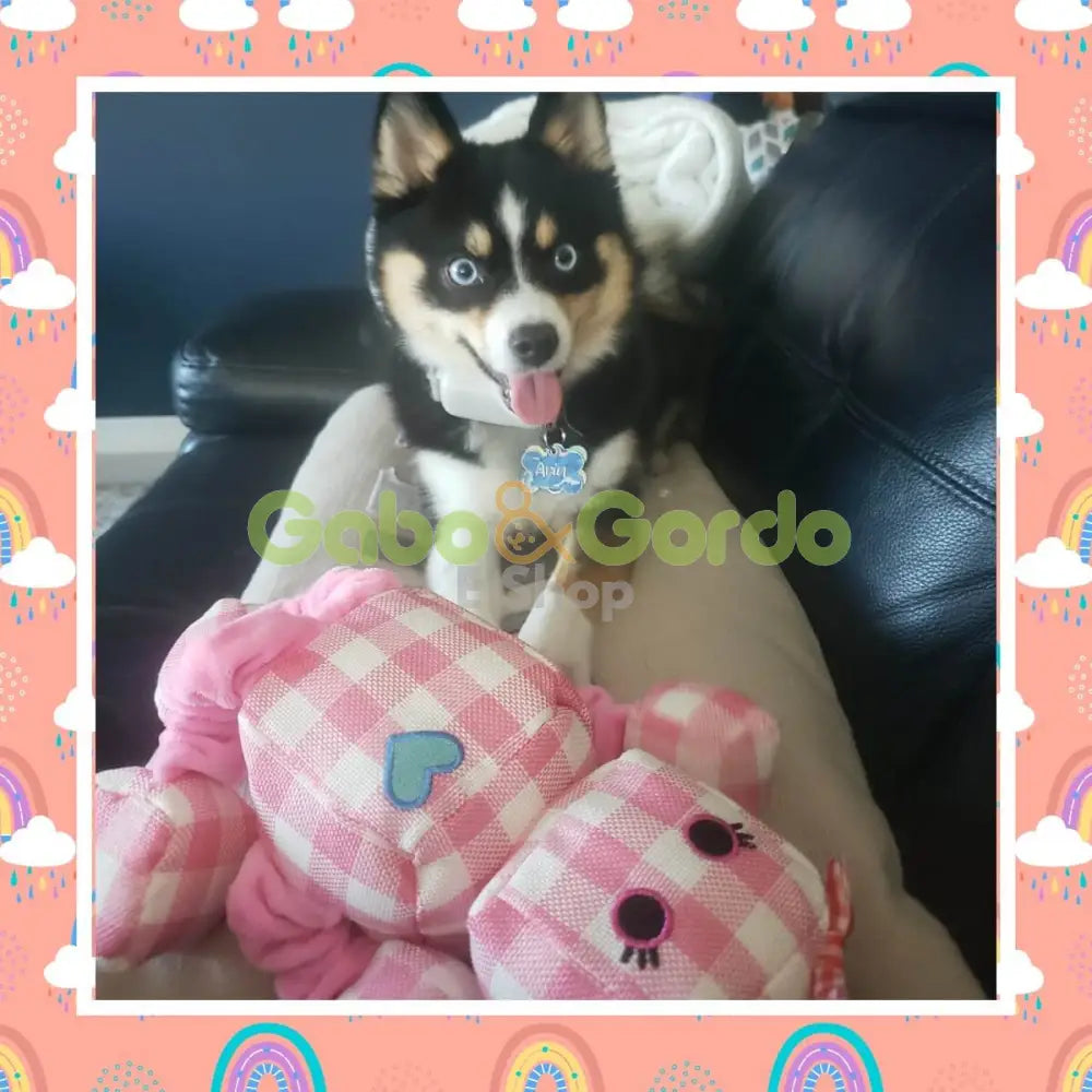 JUGUETE ROSIE THE ROBOT (13") / SnugArooz Rosie the Robot Dog Toy Gabo&Gordo Pet Shop en Las Palmas de Gran Canaria tienda para mascotas, perros, gatos, conejos, tortugas, animales, accesorios para mascotas