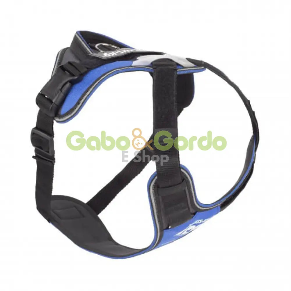 JULIUS K9 IDC Longwalk Blue Gray Arnés  Para Perros Gabo y Gordo E Shop, la mejor tienda online en Gran Canaria, las Islas Canarias, España, tienda online para mascotas, perros, gatos, conejos, tortugas, animales, accesorios para mascotas en general. 
Gabo y Gordo E Shop in Gran Canaria, Canary Islands, the best store for pets, dogs, cats, rabbits, turtles, animals, pet accessories.