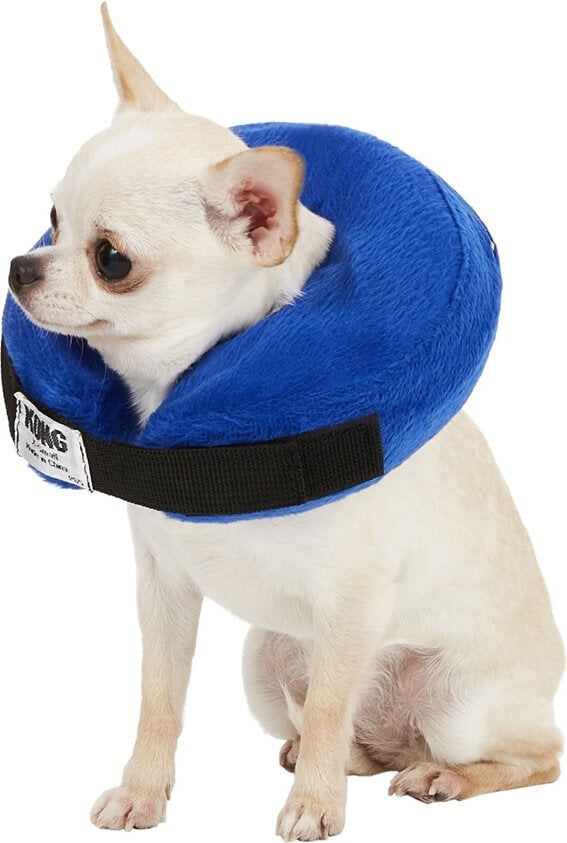 KONG Cloud collar isabelino hinchable azul para perros y gatos