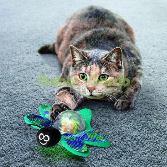 KONG juguetes BAT-A-BOUT PARA GATOS.   Gabo y Gordo Pet Shop, tienda online en las Islas Canarias, España, tienda online para mascotas, perros, gatos, conejos, tortugas, animales, accesorios para mascotas en general.