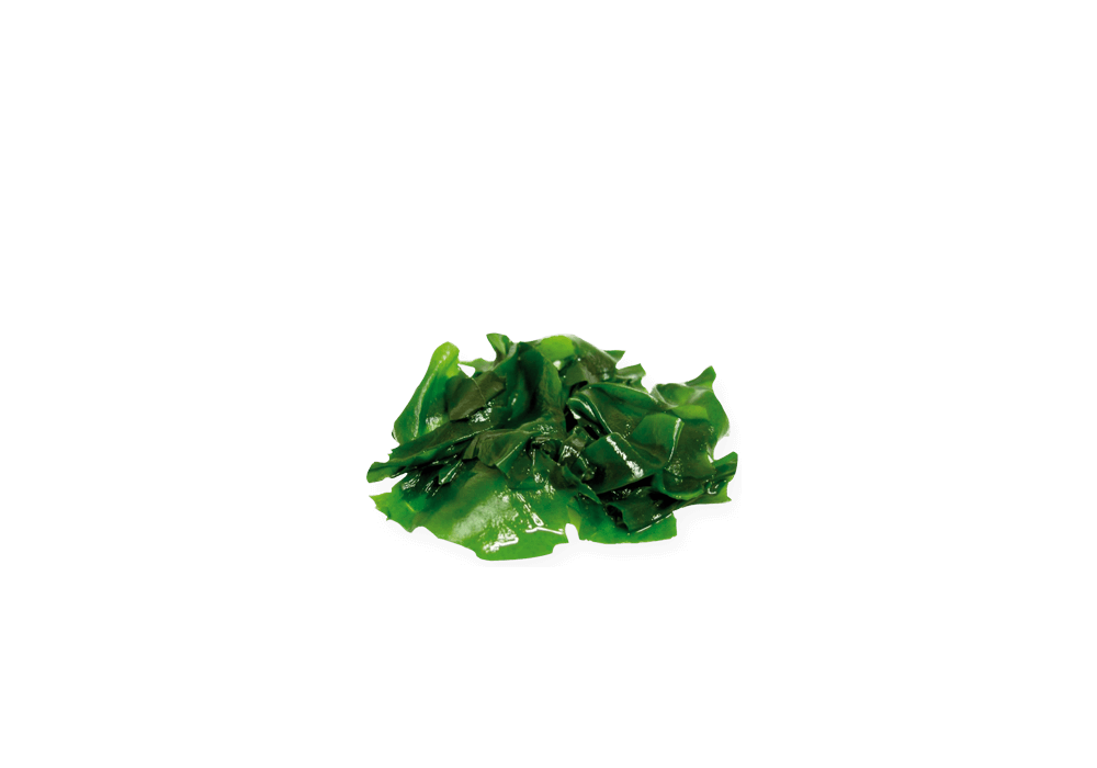 Comida húmeda Natural Greatness Canguro sin cereales para perros adultos, pack 6x400 g