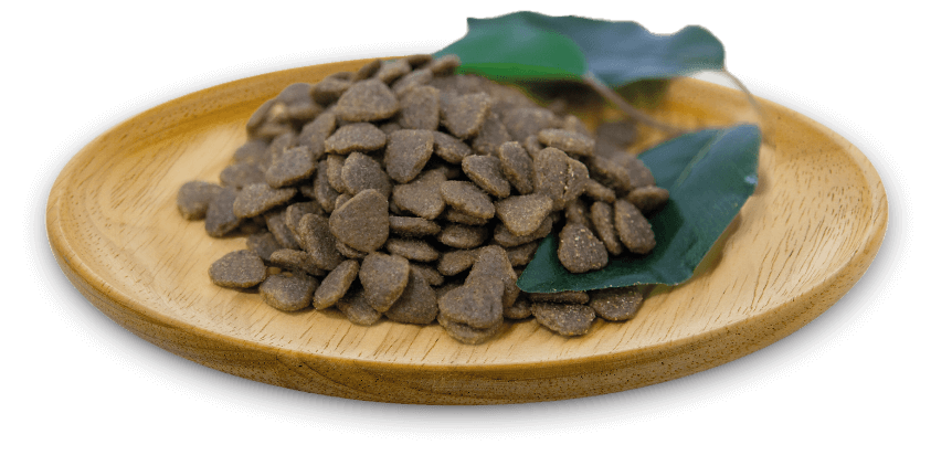 NATURAL GREATNESS Cordero pienso sin cereales para perros con digestión sensible medianos y grandes