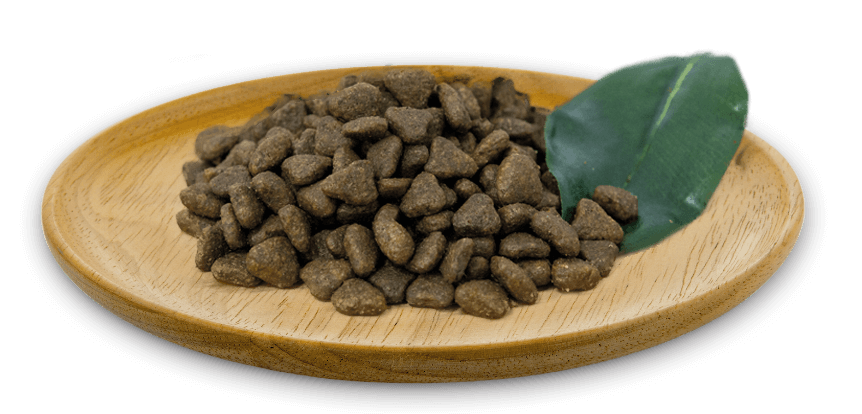 Pienso Natural Greatness Field & River sin cereales para gatos adultos