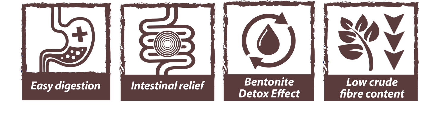 Natural Greatness Gastrointestinal – Pienso para perros con digestión sensible