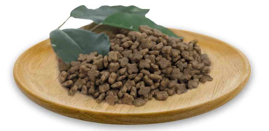 Pienso Natural Greatness Mini Starter Cordero sin cereales para cachorros y perros pequeños