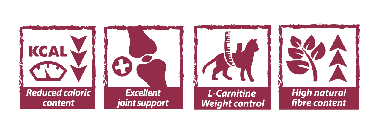 Natural Greatness Obesity Control – Pienso natural sin cereales para gatos con sobrepeso