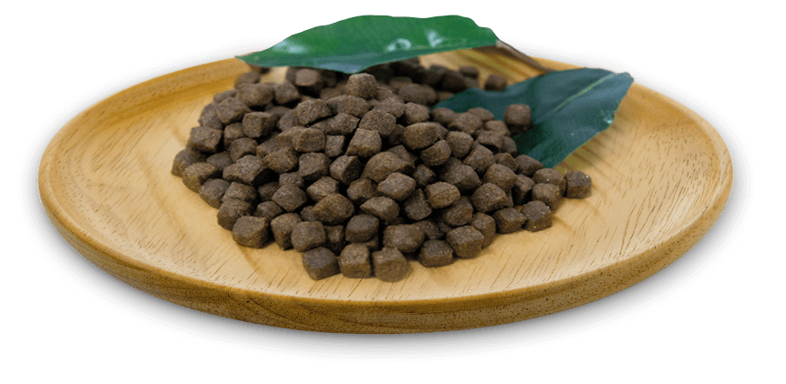 Natural Greatness Pollo pienso sin cereales para cachorros y perros pequeños con alta energía y desarrollo saludable