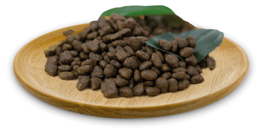 NATURAL GREATNESS Salmón Adult Mini pienso sin cereales para perros pequeños