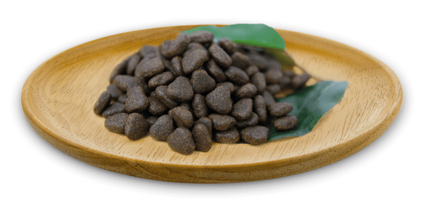 NATURAL GREATNESS Salmón pienso sin cereales para perros adultos medianos y grandes