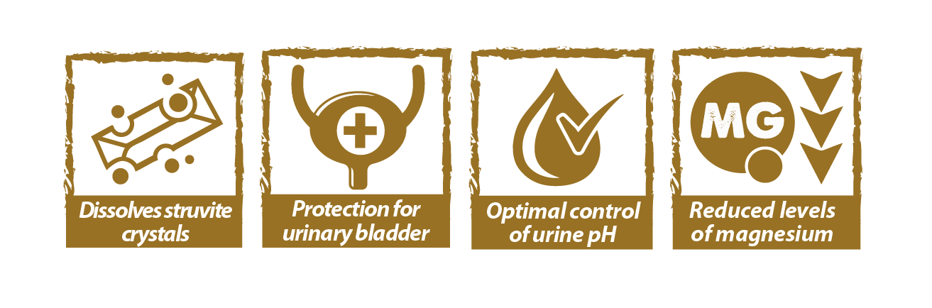 Pienso Natural Greatness Urinary Struvite sin cereales para perros con problemas urinarios