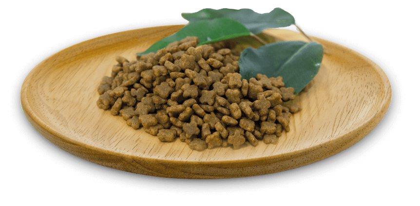 Pienso Natural Greatness Wild Instinct sin cereales para gatitos y gatos adultos
