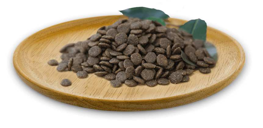 NATURAL GREATNESS receta de Conejo Mini | Pienso sin cereales para perros adultos pequeños. Gabo y Gordo E Shop, la mejor tienda online en Gran Canaria, Islas Canarias, España, tienda online para mascotas, perros, gatos, conejos, tortugas, animales, accesorios para mascotas en general.
Gabo y Gordo E Shop is the best online pet shop in Gran Canaria, Canary Islands, Spain.