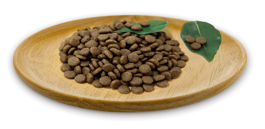 NATURAL GREATNESS RECETA WILD INSTINCT ULTRA PREMIUM GATOS NO CEREALS (RAZAS MEDIANAS Y GRANDES) Gabo y Gordo E Shop, la mejor tienda online en las Islas Canarias, España, tienda online para mascotas, perros, gatos, conejos, tortugas, animales, accesorios para mascotas en general.
Gabo y Gordo E Shop in Canary Islands, the best store for pets, dogs, cats, rabbits, turtles, animals, pet accessories.
