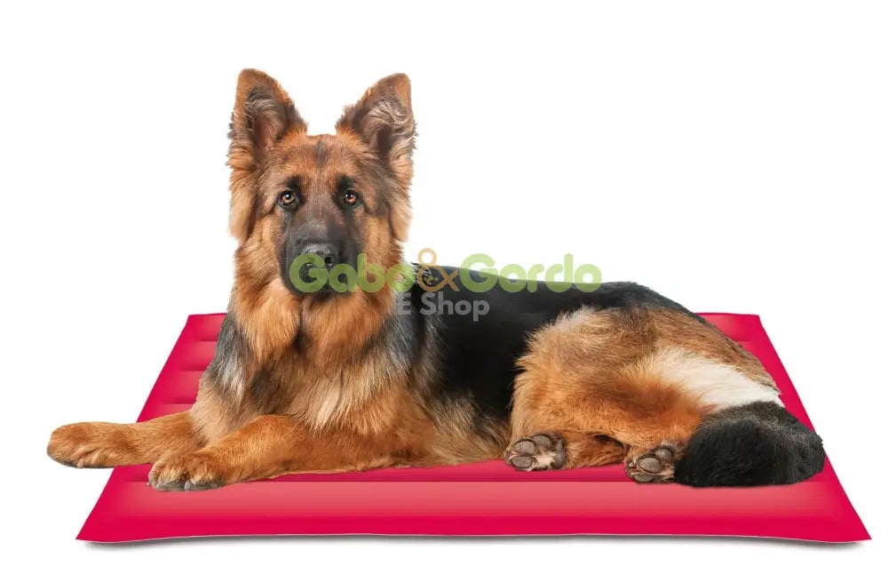 Colchoneta refrescante Nayeco Cool Mat Coral para mascotas