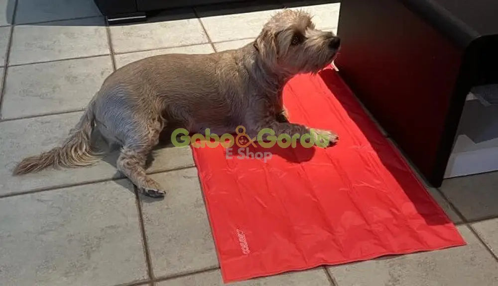 NAYECO COOL MAT CORAL colchoneta refrescante para mascotas.  Gabo y Gordo E Shop, la mejor tienda online en las Islas Canarias, España, tienda online para mascotas, perros, gatos, conejos, tortugas, animales, accesorios para mascotas en general. 
Gabo y Gordo E Shop in Canary Islands, the best store for pets, dogs, cats, rabbits, turtles, animals, pet accessories.