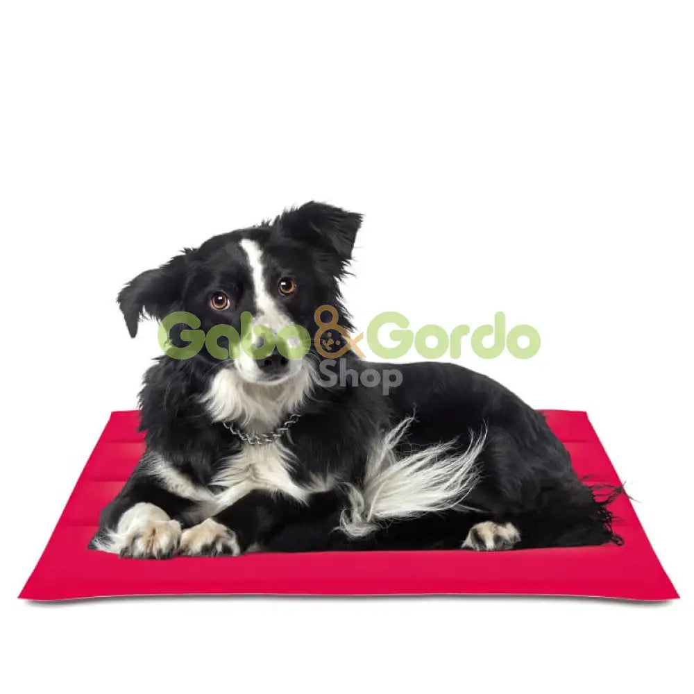 Colchoneta refrescante Nayeco Cool Mat Coral para mascotas