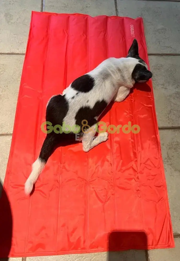 Colchoneta refrescante Nayeco Cool Mat Coral para mascotas