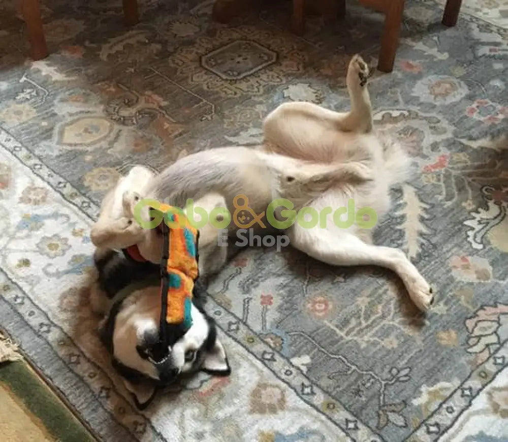 OUTWARD HOUND Invincibles Serpiente peluche resistente con chirriadores para perros