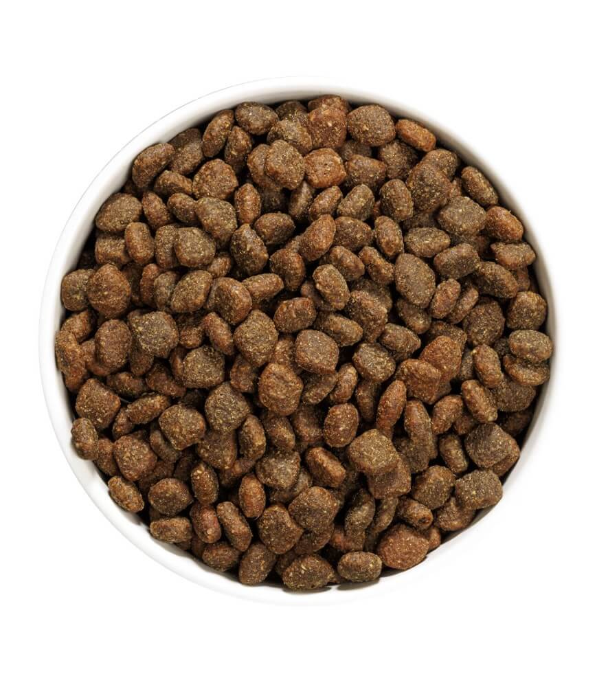 Ownat Author Duck & Chicken – Pienso natural sin cereales con pato y pollo fresco para perros