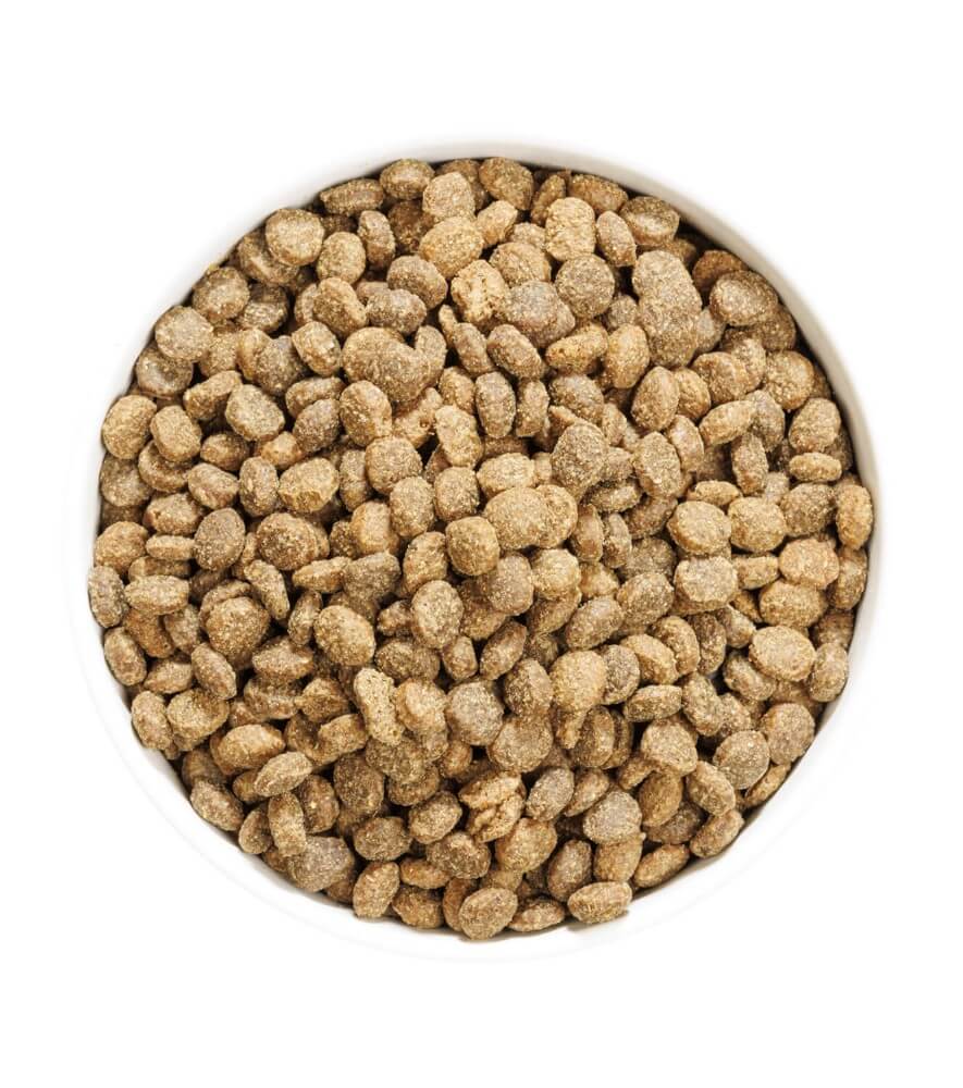 OWNAT Author Fresh Lamb & Pork | Pienso bajo en cereales con cordero y cerdo fresco para perros