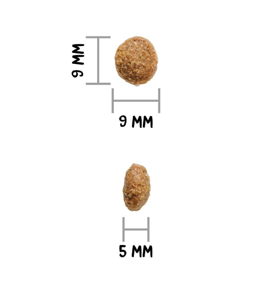 OWNAT Author Fresh Lamb & Pork | Pienso bajo en cereales con cordero y cerdo fresco para perros