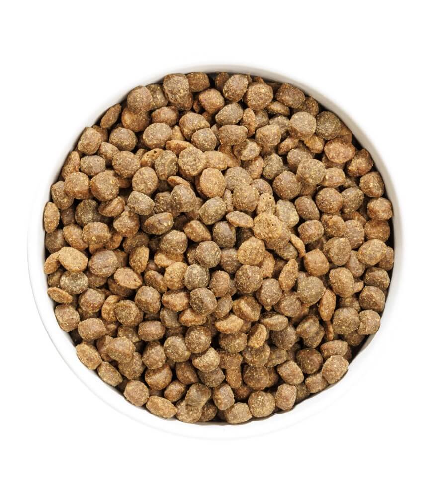 Ownat Author Junior Fresh Chicken – Pienso natural bajo en cereales para cachorros