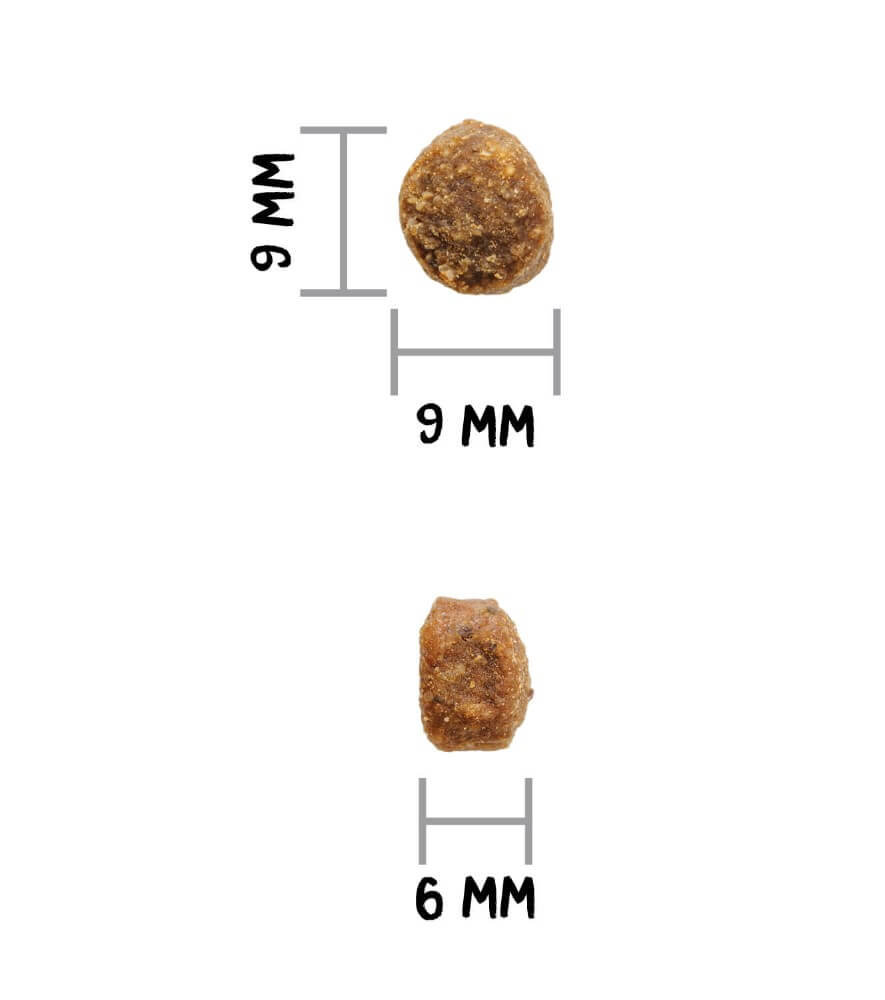 Ownat Author Junior Fresh Chicken – Pienso natural bajo en cereales para cachorros