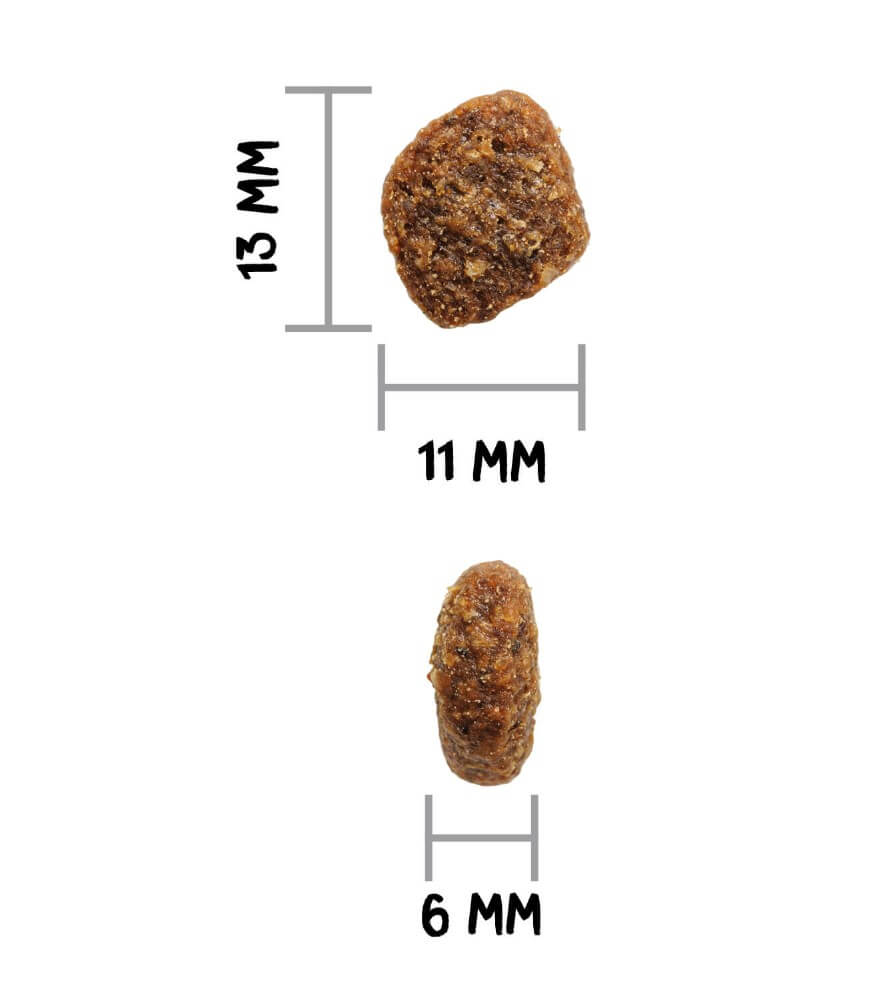 Ownat Author Rooster – Pienso natural sin cereales con gallo fresco