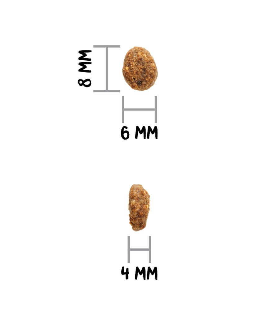 Ownat Author Sterilized Fresh Chicken – Pienso natural gatos esterilizados