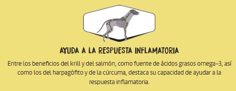 OWNAT Care Mobility – Pienso natural para perros con problemas articulares