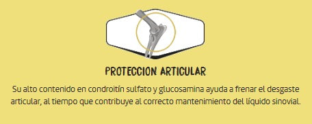 OWNAT Care Mobility – Pienso natural para perros con problemas articulares