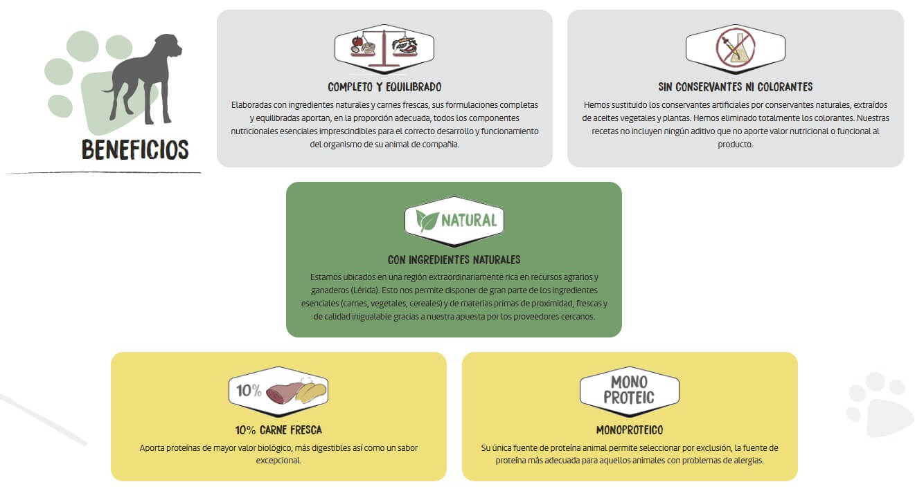 OWNAT Classic Monoproteico Salmón pienso natural para perros