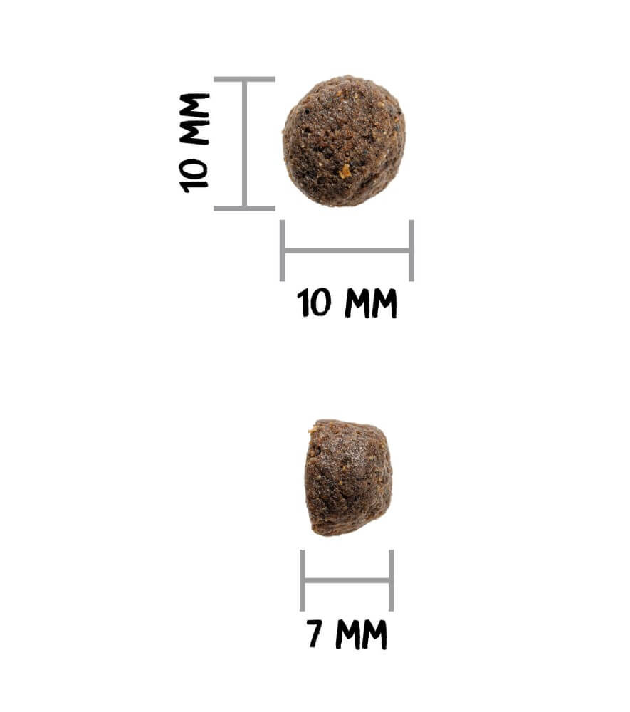 OWNAT Prime Grain Free Adult Oily Fish – Pienso natural sin cereales con pescado azul para perros adultos