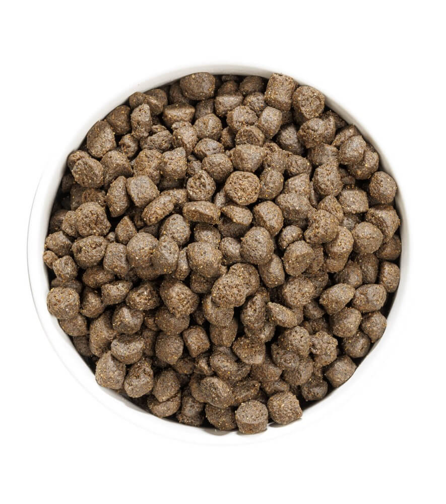 OWNAT Prime Grain Free Adult Oily Fish – Pienso natural sin cereales con pescado azul para perros adultos