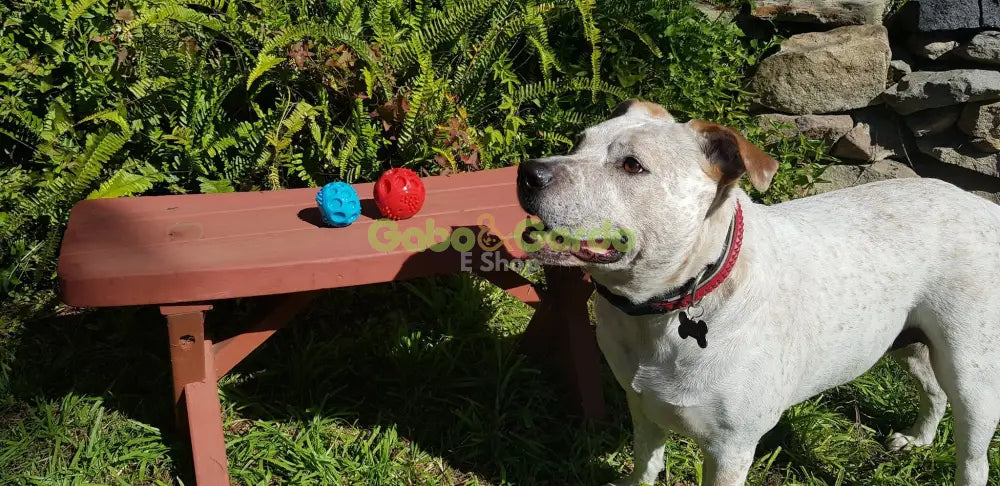 Pelota Chase 'N Chomp Squeaker Ball 7.5 cm