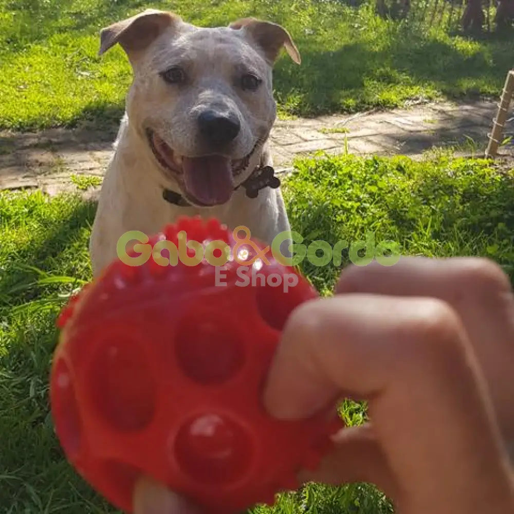 Pelota Chase 'N Chomp Squeaker Ball 7.5 cm