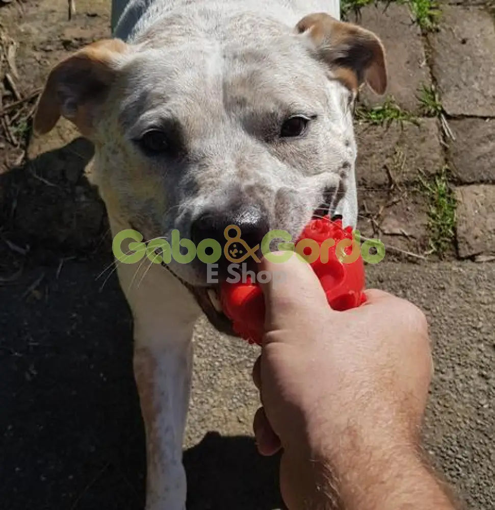 Pelota Chase 'N Chomp Squeaker Ball 7.5 cm