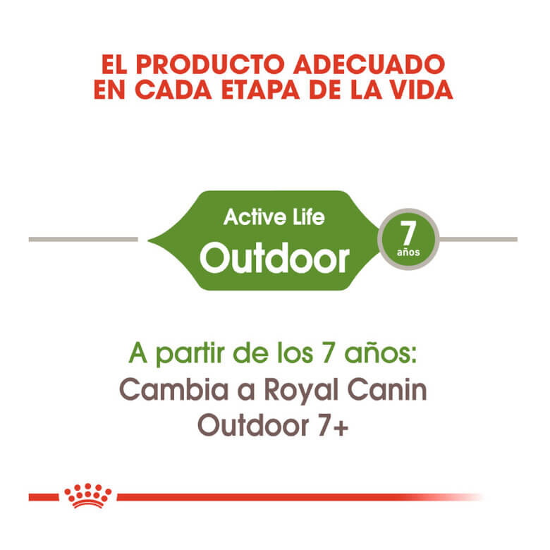 ROYAL CANIN Active Life Outdoor / Pienso Para Gatos. Gabo y Gordo E Shop, la mejor tienda online en las Islas Canarias, España, tienda online para mascotas, perros, gatos, conejos, tortugas, animales, accesorios para mascotas en general. 
Gabo y Gordo E Shop in Canary Islands, the best store for pets, dogs, cats, rabbits, turtles, animals, pet accessories.