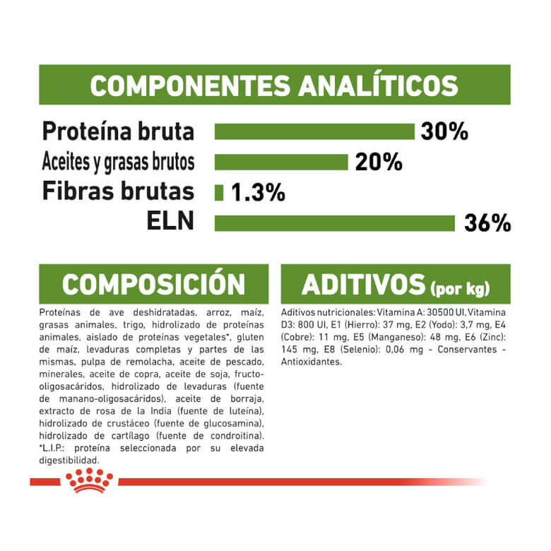 ROYAL CANIN Active Life Outdoor / Pienso Para Gatos. Gabo y Gordo E Shop, la mejor tienda online en las Islas Canarias, España, tienda online para mascotas, perros, gatos, conejos, tortugas, animales, accesorios para mascotas en general. 
Gabo y Gordo E Shop in Canary Islands, the best store for pets, dogs, cats, rabbits, turtles, animals, pet accessories.